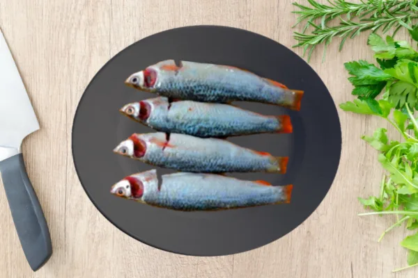 Buy Small fish online