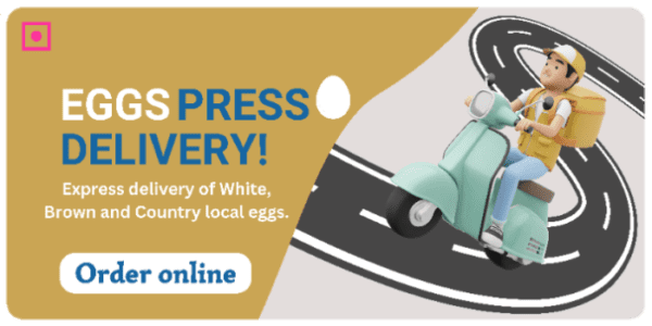 Buy eggs online