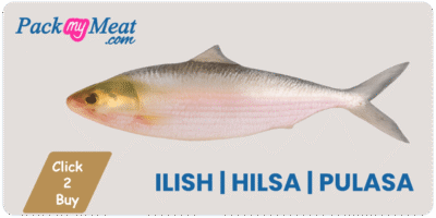 Hilsa | Ilish | Pulasa | Palva